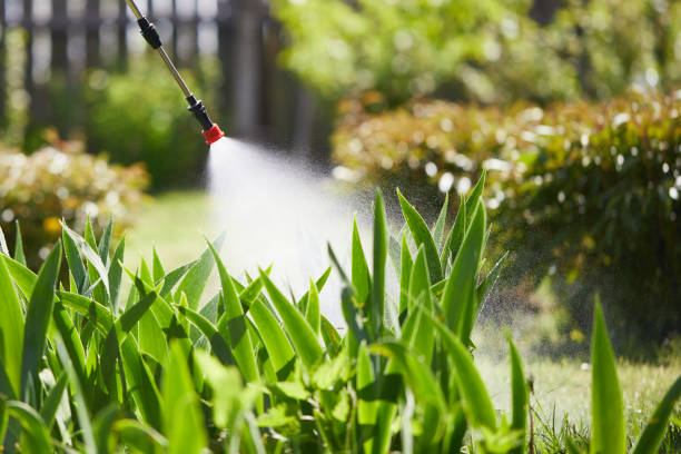 24/7 Emergency Ant Control experts in White House, TN