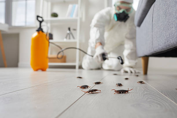 Trusted Emergency Pest Control service in White House, TN - Nex Pest Control