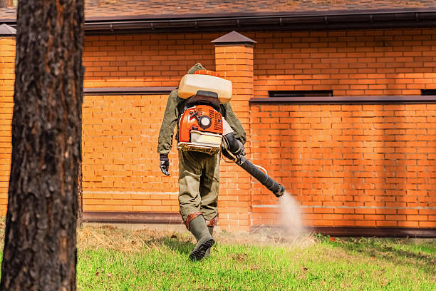 Trusted Mosquito Control service in White House, TN - Nex Pest Control